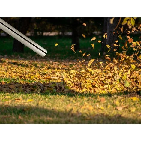 MONZANA Aspirateur Eau Et Poussière En Acier Inoxydable Avec Accessoires 1800W Capacité 30L Aspirateur Multifonction 3 MONZANA Aspirateur Eau Et Poussière En Acier Inoxydable Avec Accessoires 1800W Capacité 30L Aspirateur Multifonction – Image 3