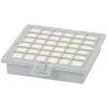 Filtre Hepa D'origine (00579494) Aspirateur BOSCH, SIEMENS